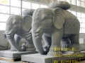 漢白玉石雕大象