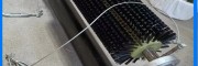 供應(yīng)被動清掃器 無動力清掃器 無電清掃器